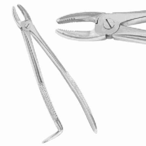 91/2 Stainless Steel Forceps