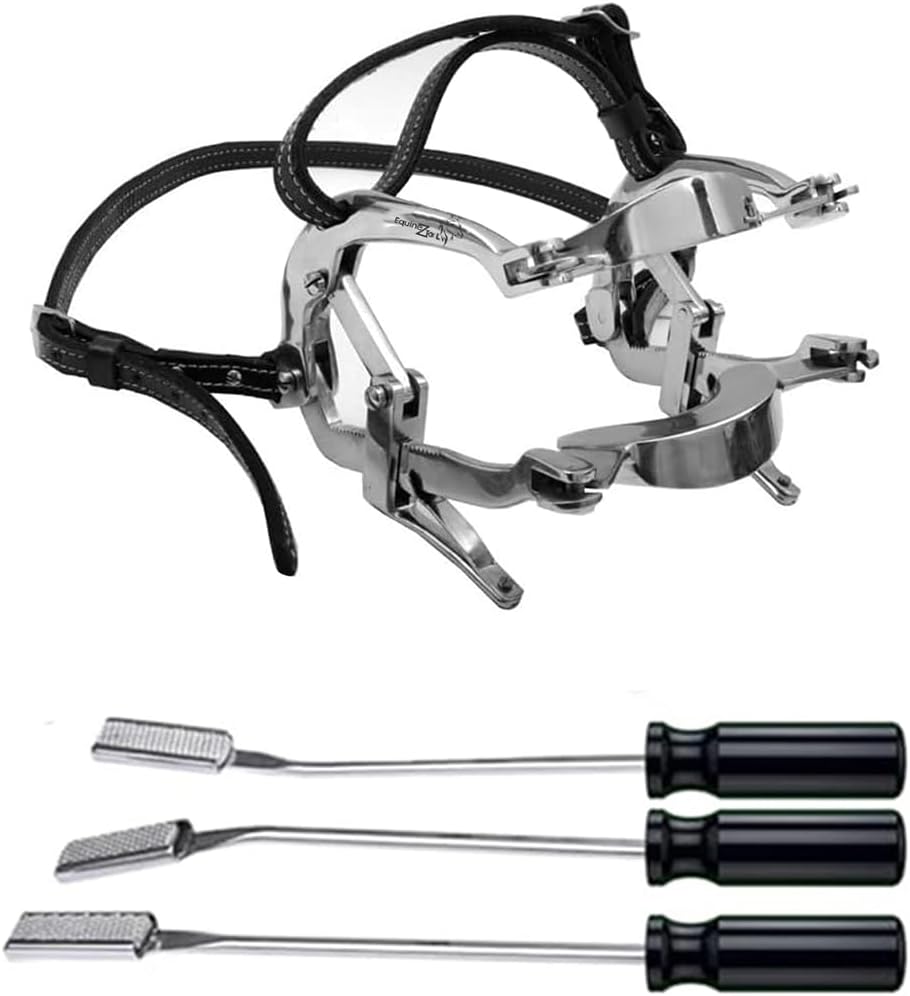 Equine Dental Millennium Speculum ,3 PCS Float Rasps (Straight,Up,Down)