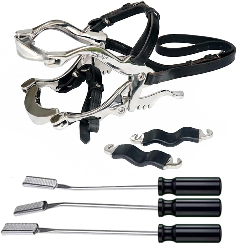 Equine Dental Kit with Hausmann Speculum &3 Floats with Blades