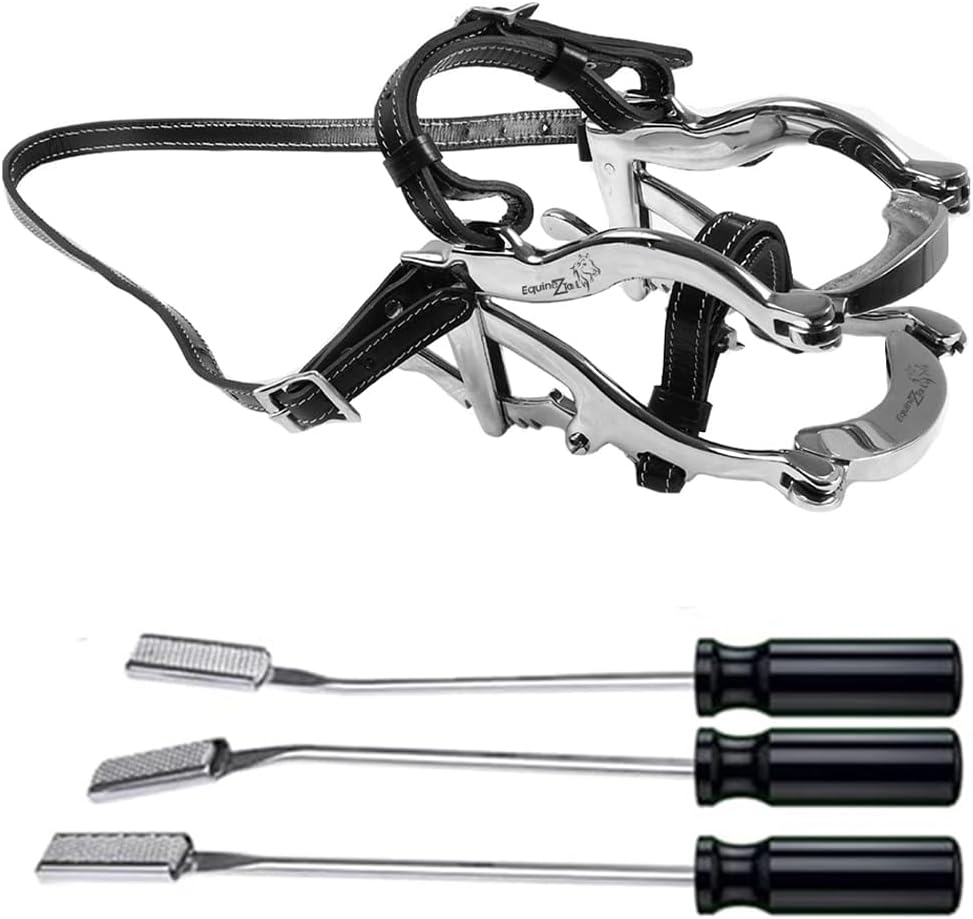 Equine Dental Kit 4000 Series–Horse Mouth Speculum + 3 Floats with Blades