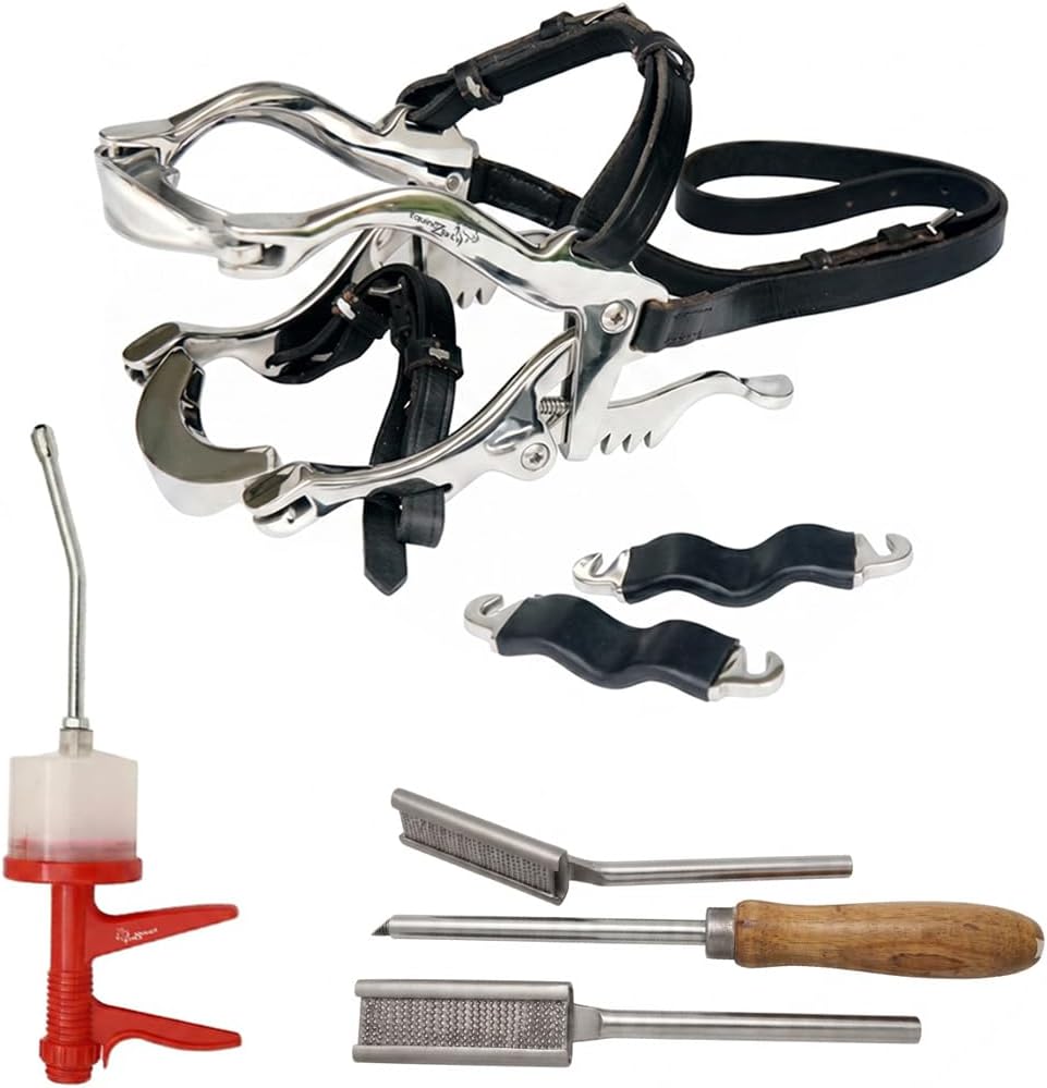 Equine Dental Kit Set – Speculum, Float Set, 300ml Dose Syringe