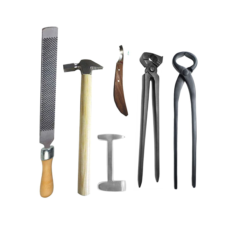 6 piece farrier Kit