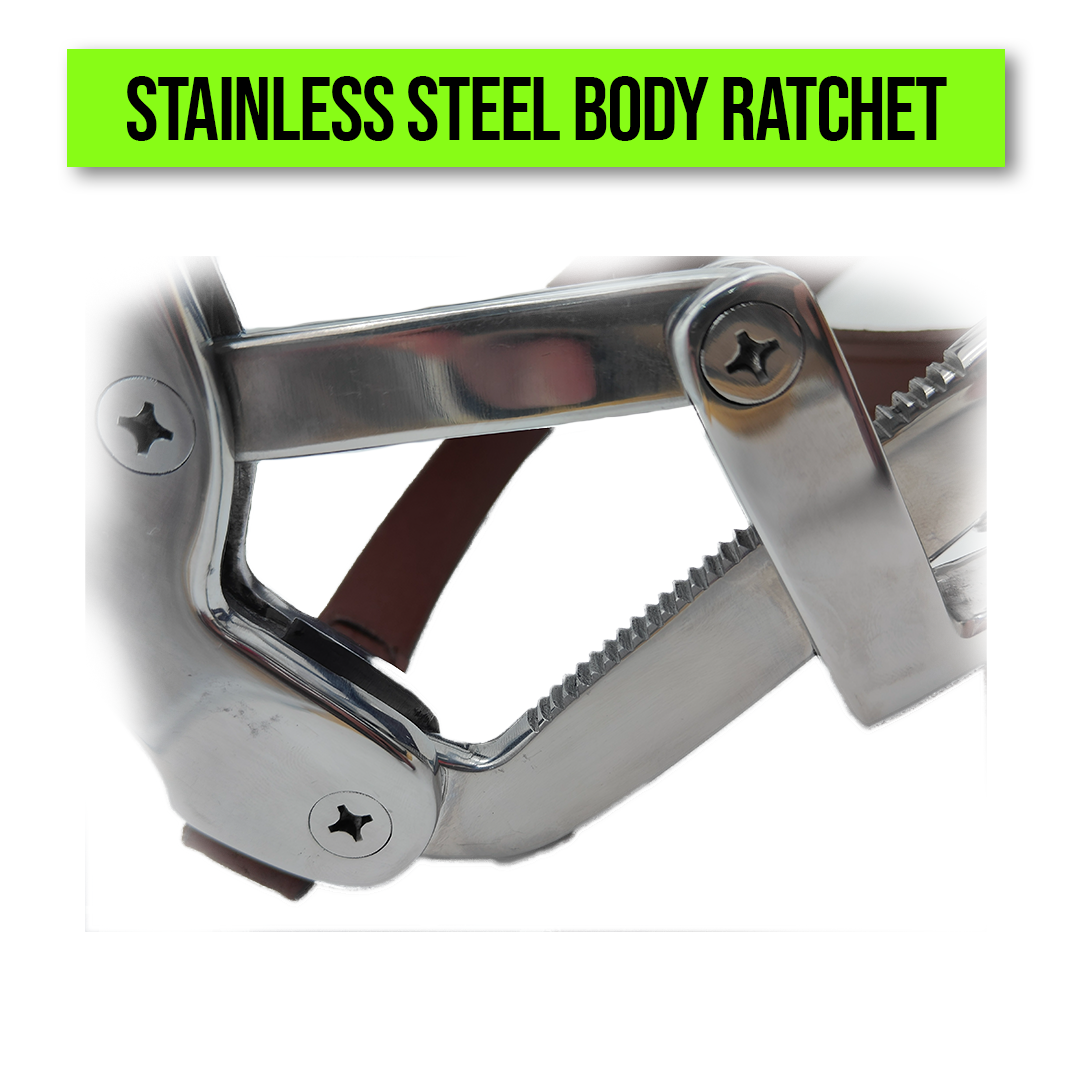 Ponny Millinium Speculum