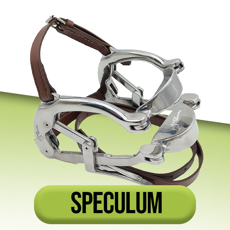 Speculum