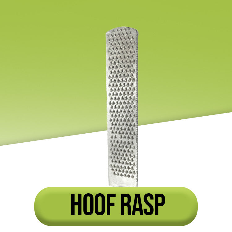 Rasp and Hammer – EquinezTools Corp