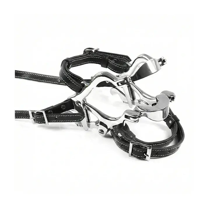 Equine Pony Dental Speculum Professional Stainless Steel Horse & Pony Dental Examination Tool