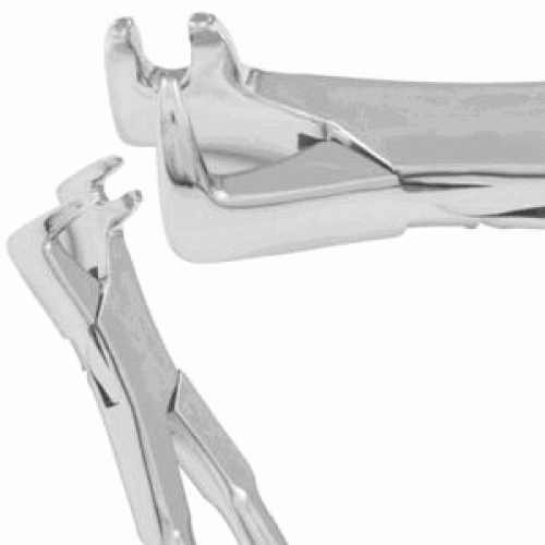 3 off-side Root Forceps