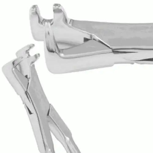 3 Off-Side Root Forceps – Professional Equine Veterinary Dental Extraction Tool for Horse Teeth & Root Removal