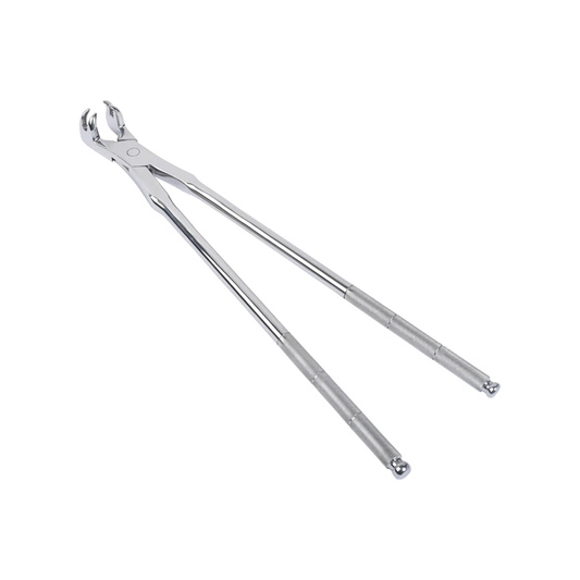 Four Roots New Forceps 19