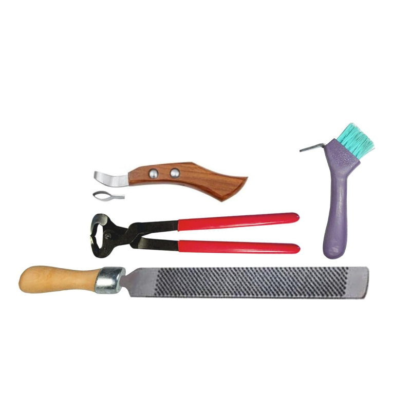 4 piece Farrier Kit