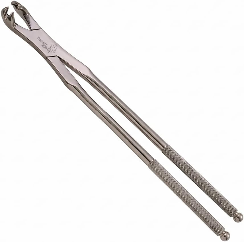 Four Roots New Forceps 19" – Professional Equine Dental Extraction Forceps