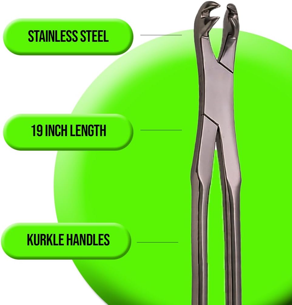 Four Roots New Forceps 19" – Professional Equine Dental Extraction Forceps