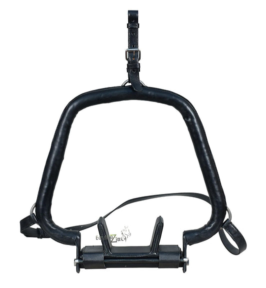 Equine Dental Head Stand