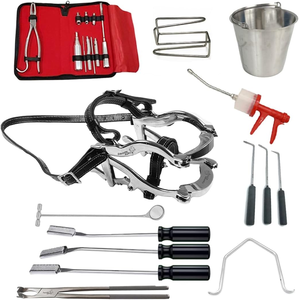 Equine Dental Kit Set Speculum, Forceps,Head Stand, Dental Picks, Syringe Equine