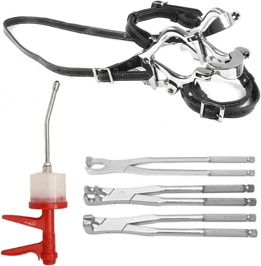 Equine Dental Kit Set Speculum Horse Gag Pony Forceps Set with 200ml Syringe – Premium Stainless Steel Veterinary Dental Instruments for Horse & Pony...
