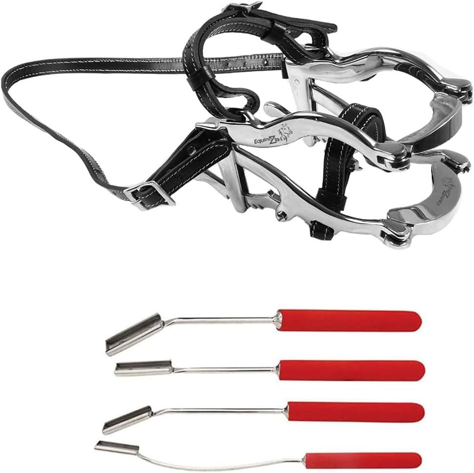 Equine Dental 4000 Speculum and 4-Piece Professional Teeth Float Set