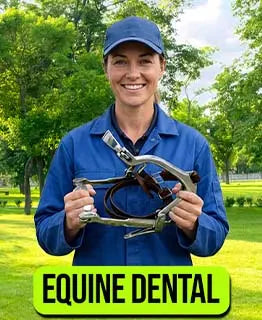 Person holding a dental tool with 'Equine Dental' branding in an outdoor setting