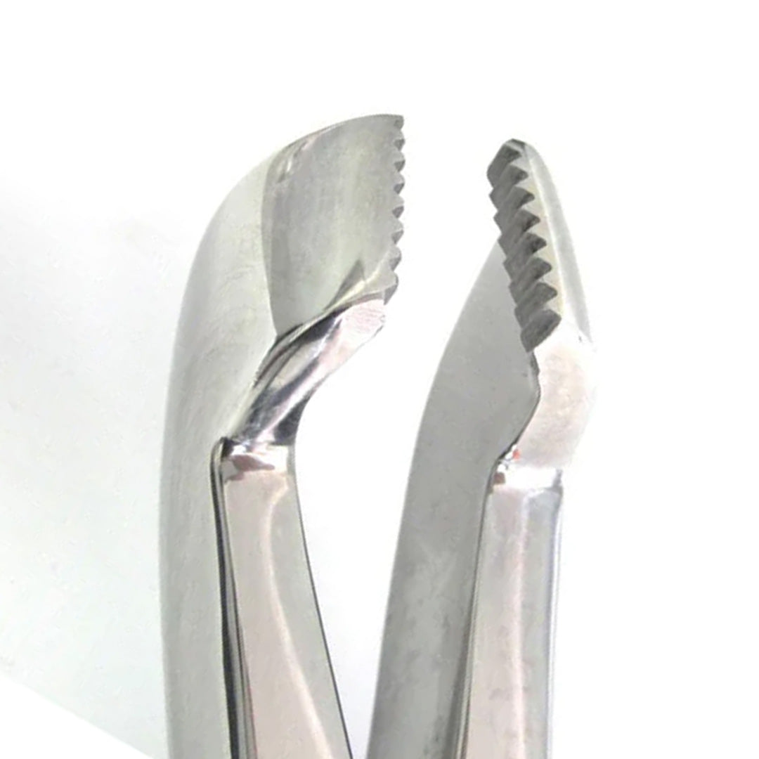 Reynolds Double Forceps.