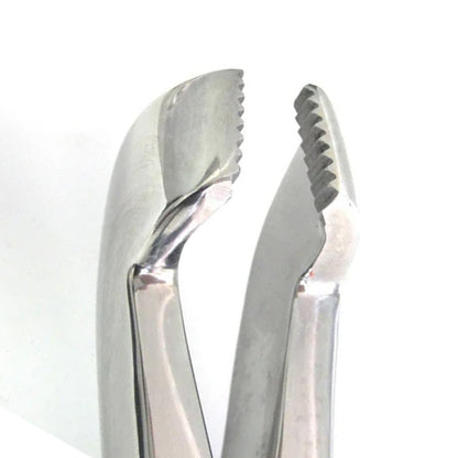 Reynolds Double Forceps.