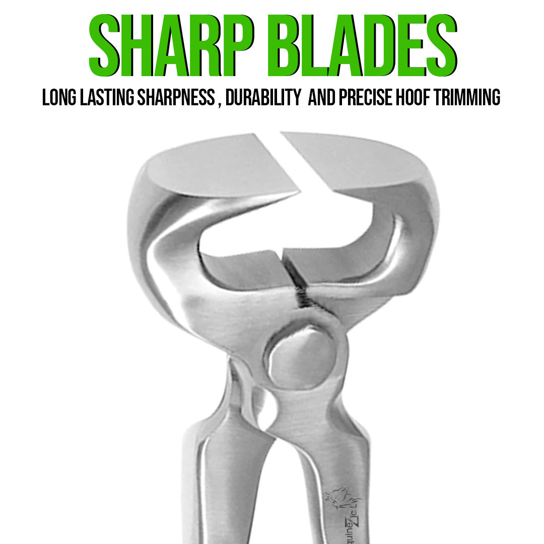 12 Inch Hoof Nipper – Heavy Duty Farrier Tool for Horse Hoof Trimming & Professional Use