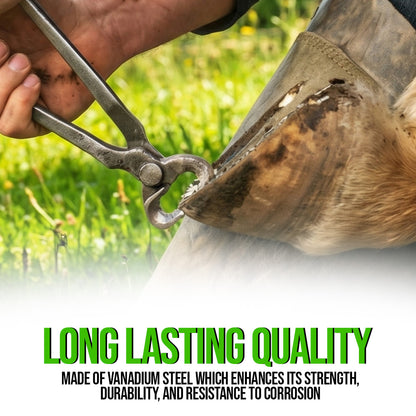 14” Hoof Nipper – Premium Quality Stainless Steel Farrier Tool for Horse Hoof Care
