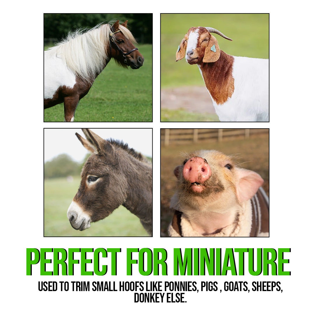 10 Inch Miniature Hoof Nipper – Professional Farrier Tool for Small Horse & Pony Hoof Trimming