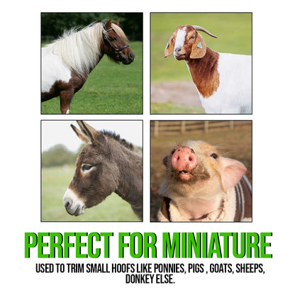 10 Inch Miniature Hoof Nipper – Professional Farrier Tool for Small Horse & Pony Hoof Trimming