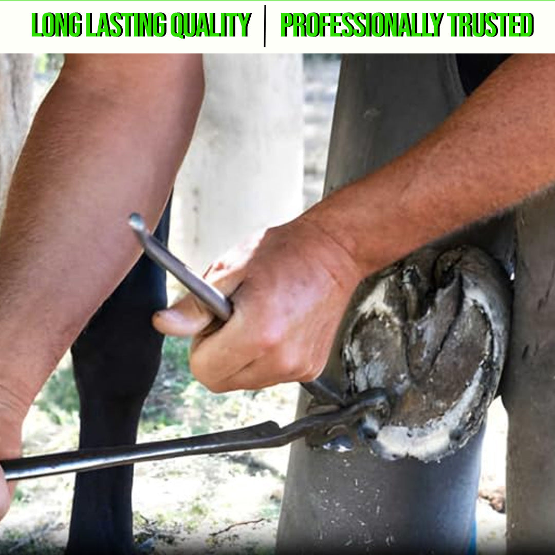 15 Inch Hoof Nipper – Black Coated Heavy Duty Farrier Tool for Horse Hoof Trimming & Professional Use