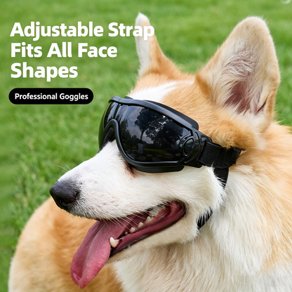Pet Dog Goggles Sunglasses UV Wind Dust Protection Adjustable for Small Medium Dogs Outdoor Motorcycle Riding Eye Goggles