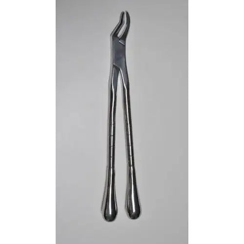 Fragment Forceps – Professional Equine Dental Extraction & Root Removal Tool
