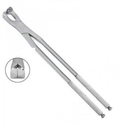 Simple Molar Spreader 19