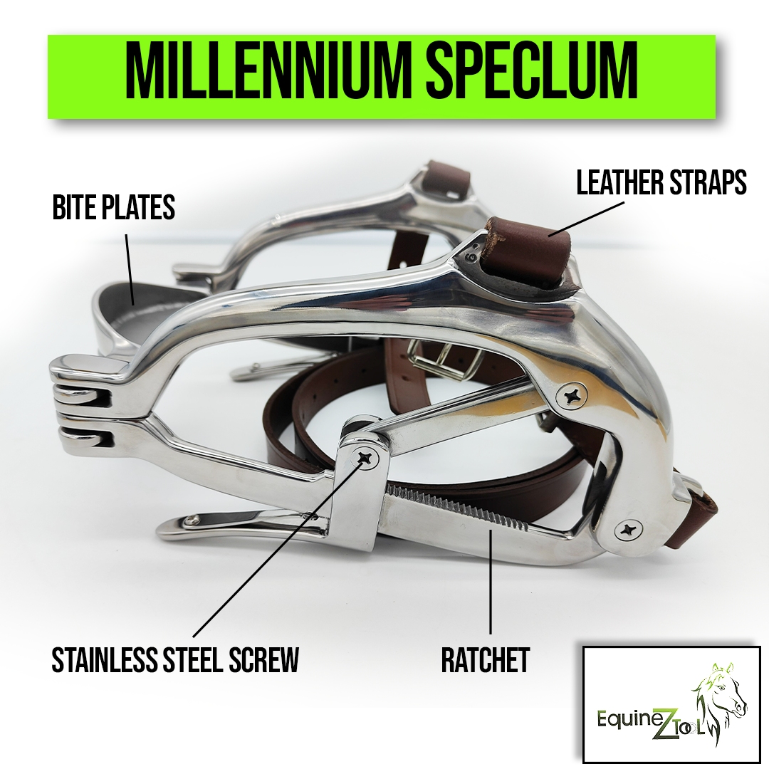 Millinium Speculum