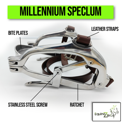 Millinium Speculum
