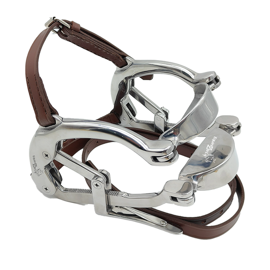 Ponny Millinium Speculum