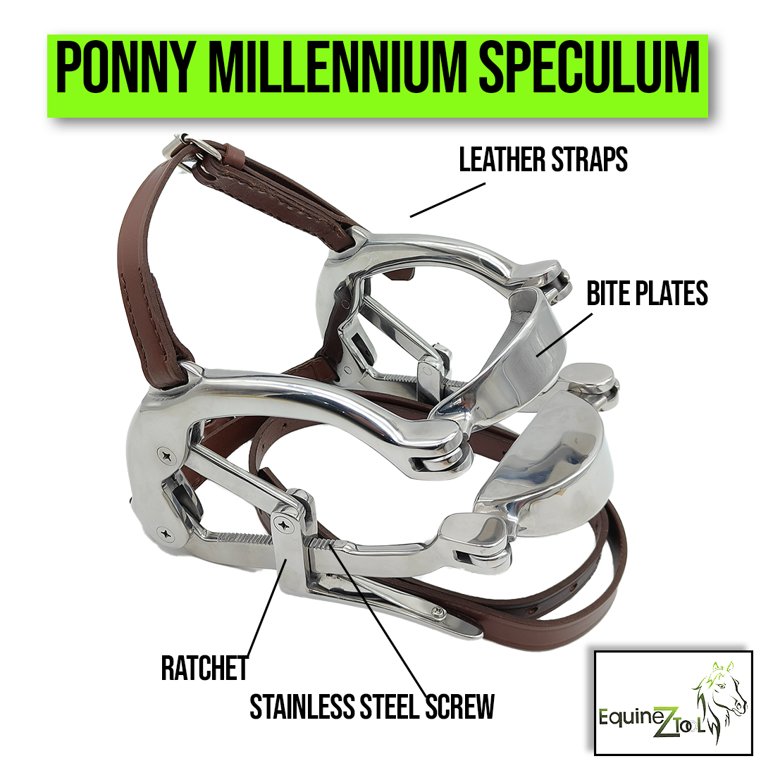 Ponny Millinium Speculum