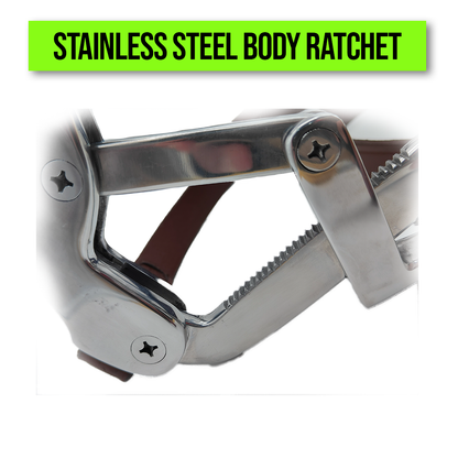 Ponny Millinium Speculum