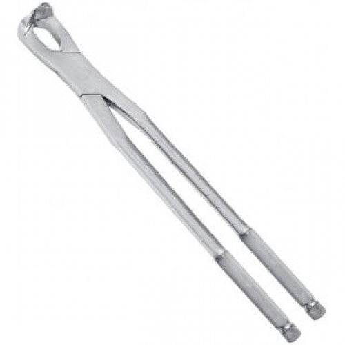 Molar Spreader For Pony