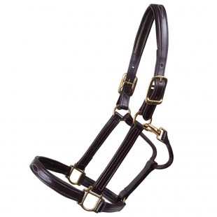 HALTERS