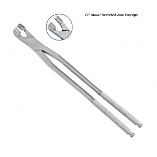 Serrated Jaw Molar Forceps 19’’