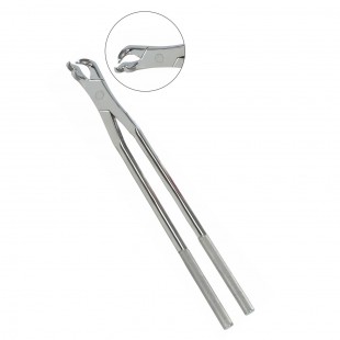 3 on-side Root Forceps