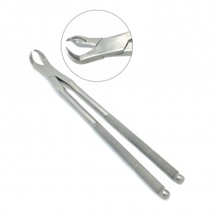 3 off-side Root Forceps