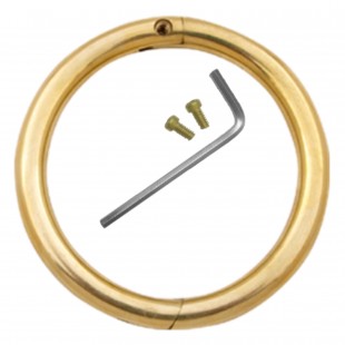 Bull Ring - Brass - Small